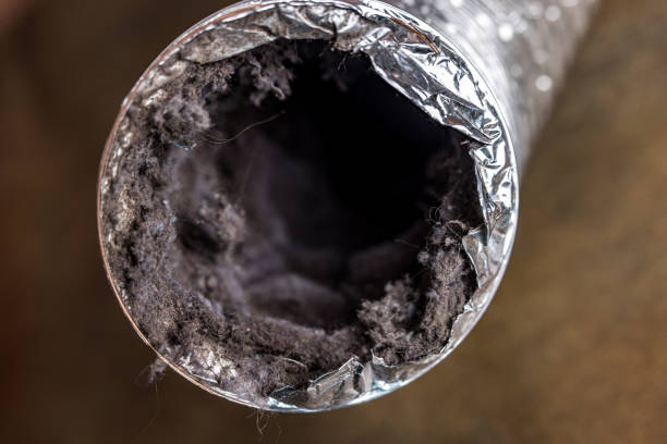 Best Affordable HVAC Duct Cleaning  in Needville, TX