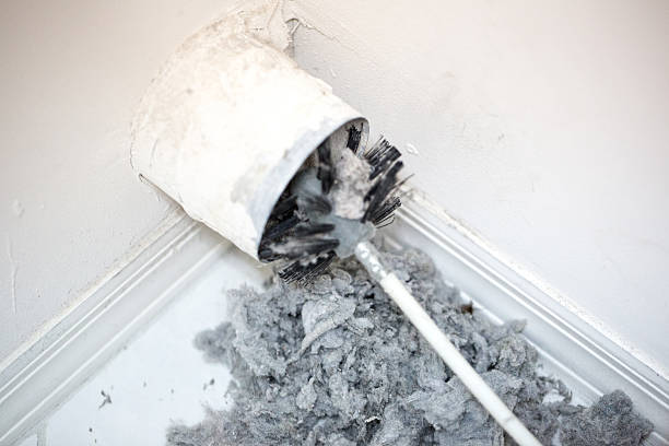 Best Affordable Duct Cleaning Services  in Needville, TX
